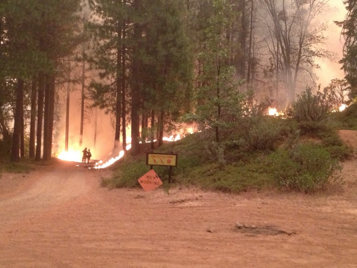 Rim Fire Photo 5